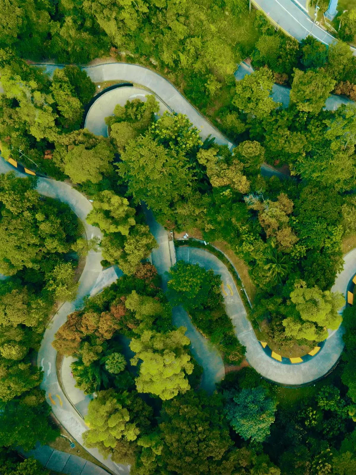 Skyline Luge Singapore